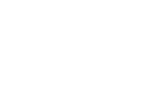 Flying Wild Hog